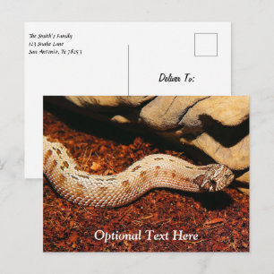 Hognose Postkarte