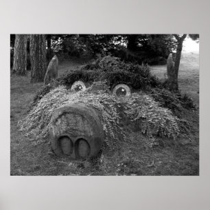 Hogs Head, Bute Park, Cardiff Poster