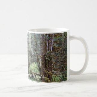 Hoh-Regenwald, Bundesstaat Washington, Becher Kaffeetasse