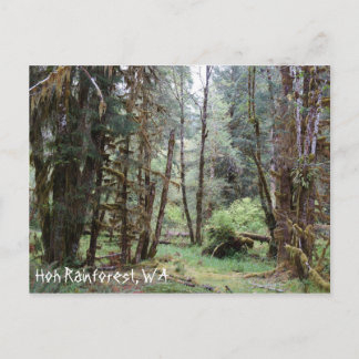 Hoh-Regenwald, Bundesstaat Washington, Postkarte