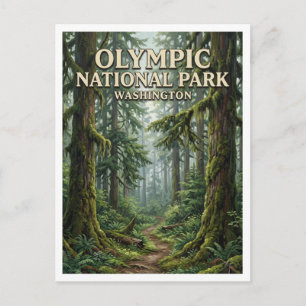 Hoh-Regenwald Forks Washington Postkarte