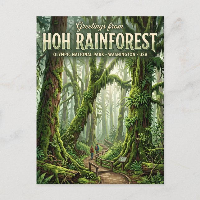 Hoh-Regenwald Washington Postkarte (Vorderseite)