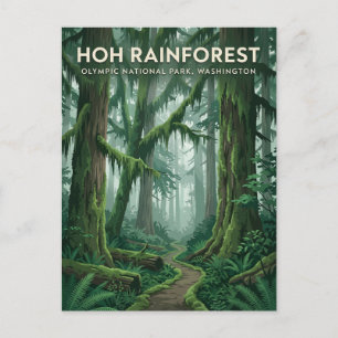 Hoh-Regenwald Washington Postkarte