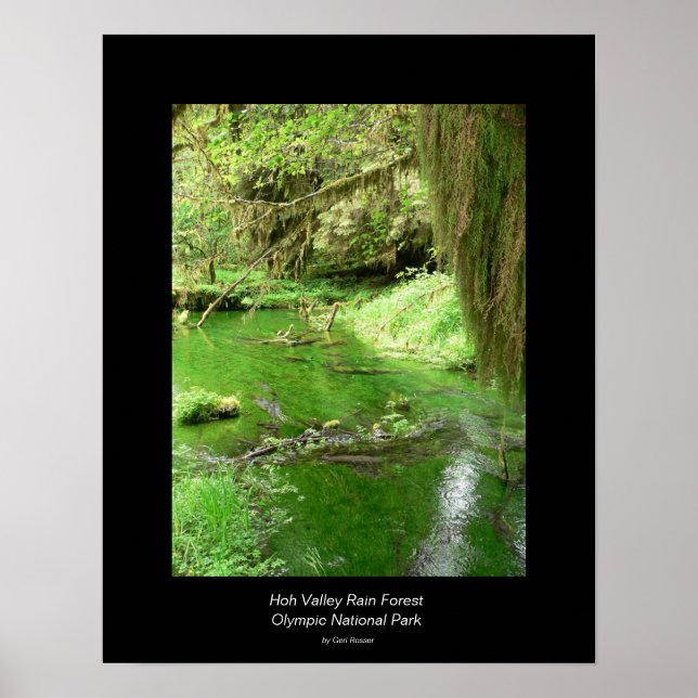 Hoh Valley Rain Forest Poster (Stream) (Vorne)