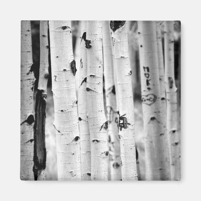 hohe Aspen's Magnet (Vorne)