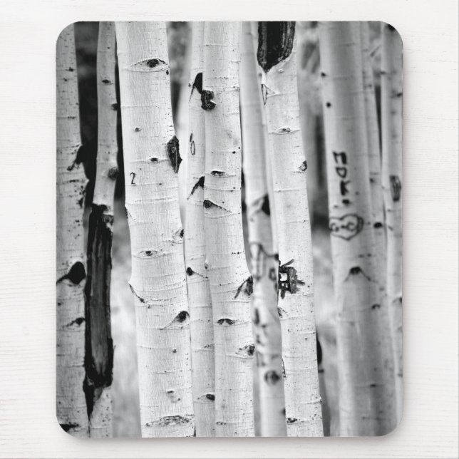 hohe Aspen's Mousepad (Vorne)