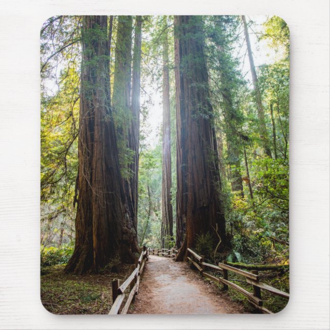 Hohe Bäume Mousepad (Vorne)