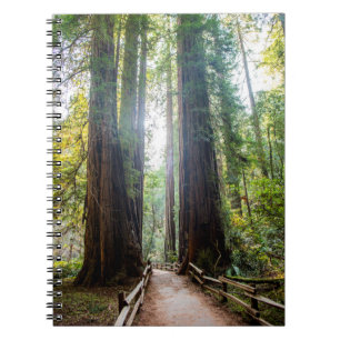 Hohe Bäume Notizblock