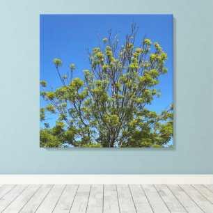 Hohe Esche im schönen blauen Himmel Foto Leinwanddruck