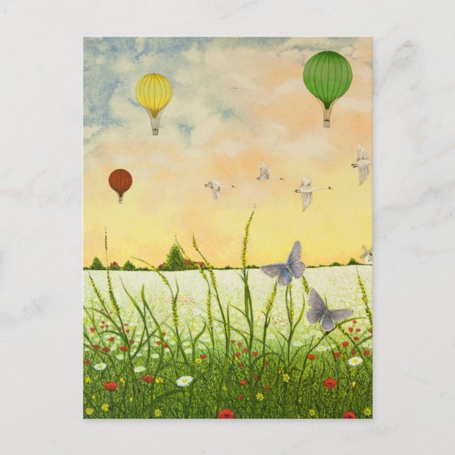 Hohe Flyer 2011 Postkarte (Vorderseite)