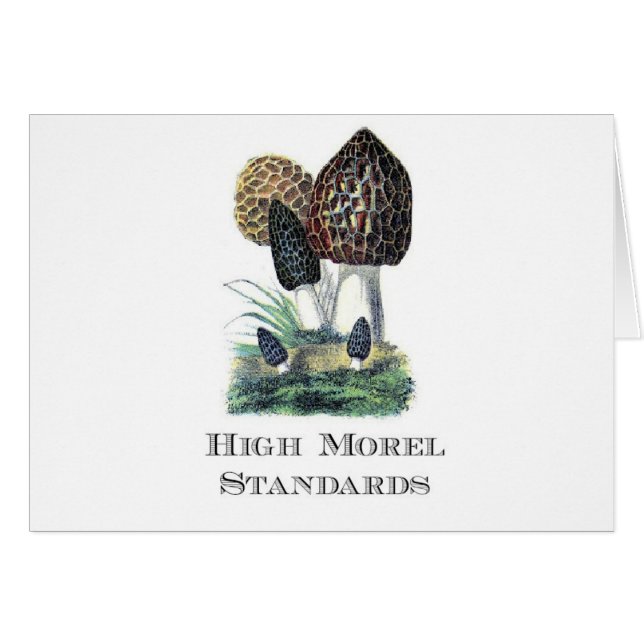 Hohe Morchel-Standards (Vorderseite (Horizontal))