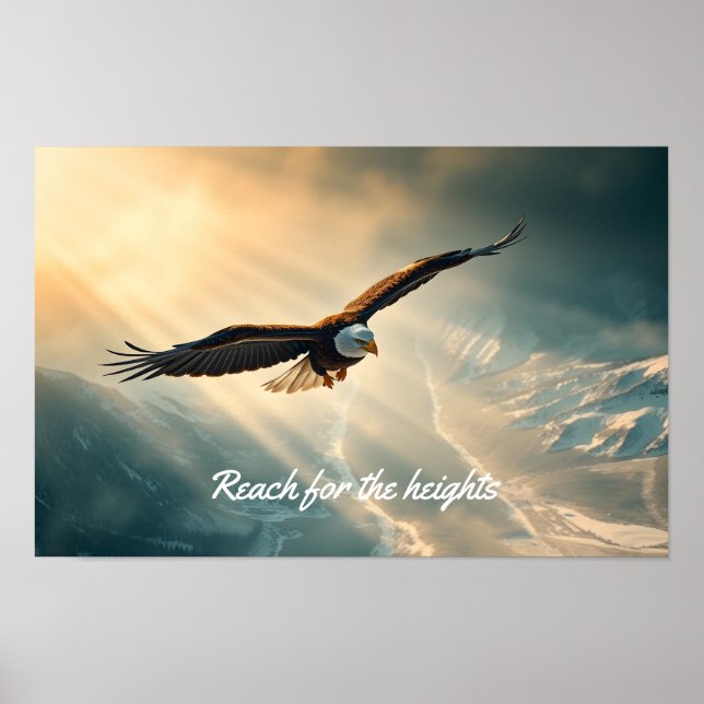 Höhe | poster (Vorne)