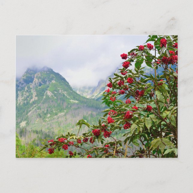 Hohe Tatra Slowakei Postkarte (Vorderseite)