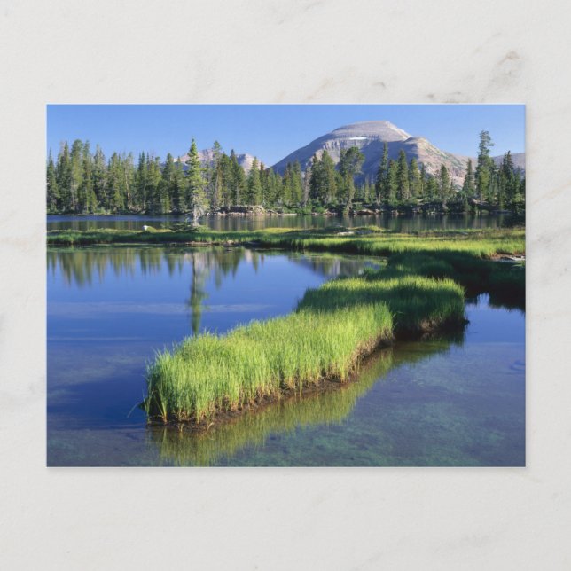 HOHE UINTAS WILDERNESS, ABER, US, POSTKARTE (Vorderseite)