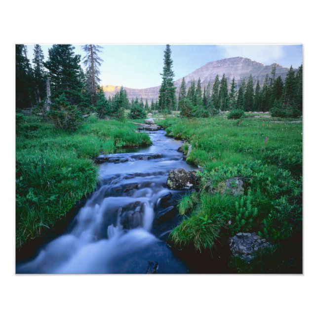 HOHE UINTAS WILDERNESS, UTAH. Stillwater Fork Fotodruck (Vorne)