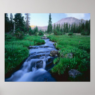 HOHE UINTAS WILDERNESS, UTAH. Stillwater Fork Poster