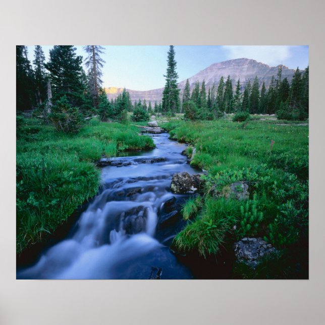 HOHE UINTAS WILDERNESS, UTAH. Stillwater Fork Poster (Vorne)