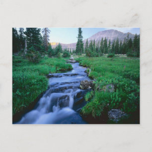 HOHE UINTAS WILDERNESS, UTAH. Stillwater Fork Postkarte