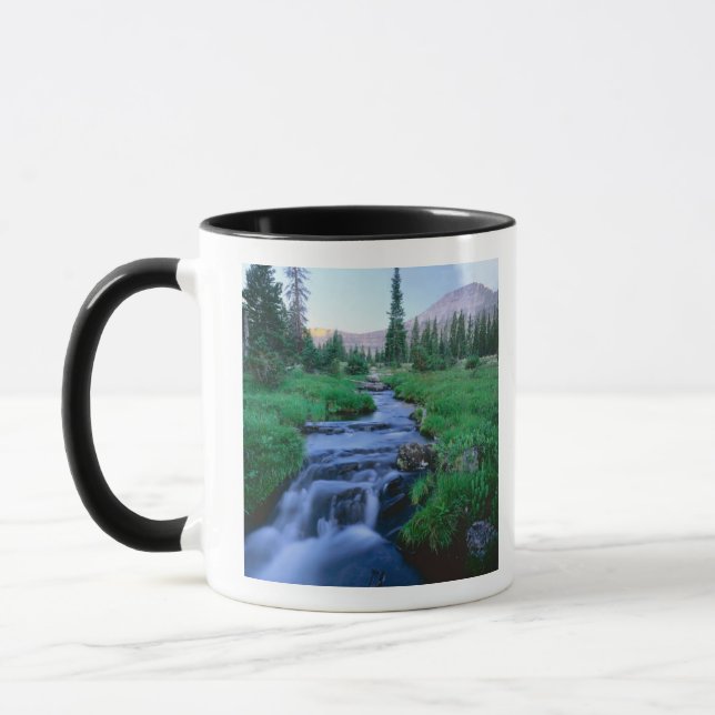 HOHE UINTAS WIRD UNS, UTAH. Stillwassergabel Tasse (Links)