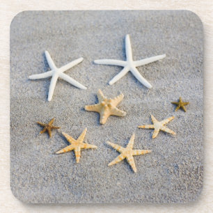 Hohe Winkelsicht eines Starfish auf dem Strand Getränkeuntersetzer