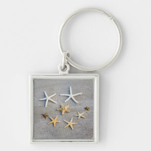 Hohe Winkelsicht eines Starfish auf dem Strand Schlüsselanhänger