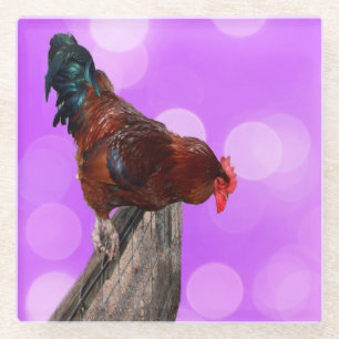 Höhepunkt in Majestät: Rooster on Dreamy Lila Glow Glasuntersetzer