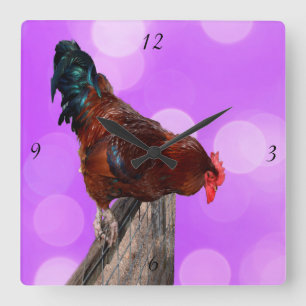 Höhepunkt in Majestät: Rooster on Dreamy Lila Glow Quadratische Wanduhr