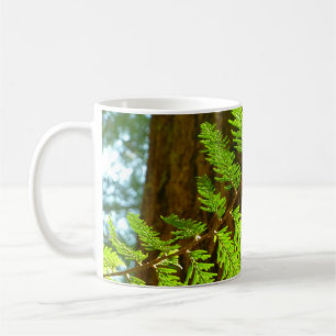 Höhepunkte eines botanischen Rotwaldbaums Kaffeetasse