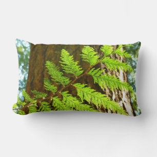 Höhepunkte eines Redwood Tree Botanical Lendenkissen