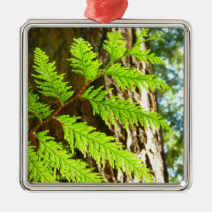 Höhepunkte eines Redwood Tree Botanical Ornament Aus Metall