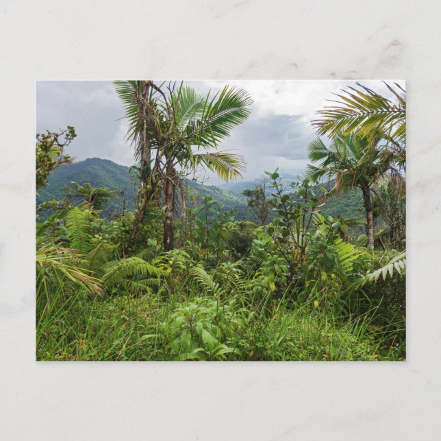 Höhepunkte und Täler der Postkarte el yunque (Vorderseite)