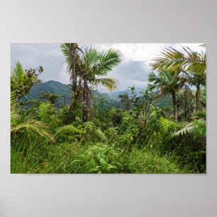 Höhepunkte und Täler des Yunque Poster