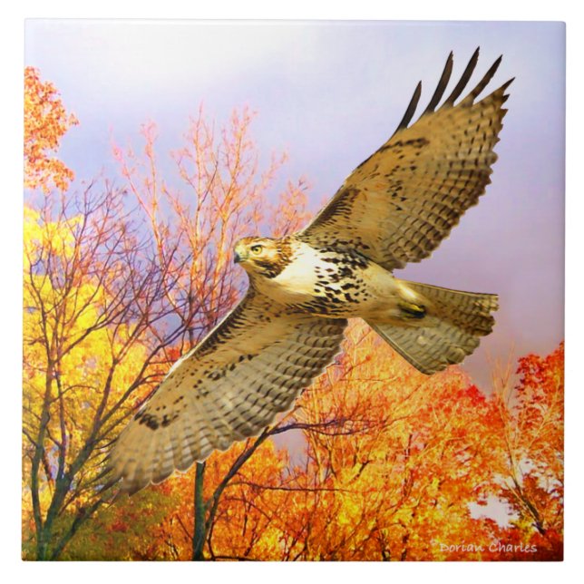 "Hoher Flyer" dekorative Tile Fliese (Vorderseite)