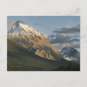 Hoher Gipfel nahe dem Maligne Lake, Jasper Nationa Postkarte