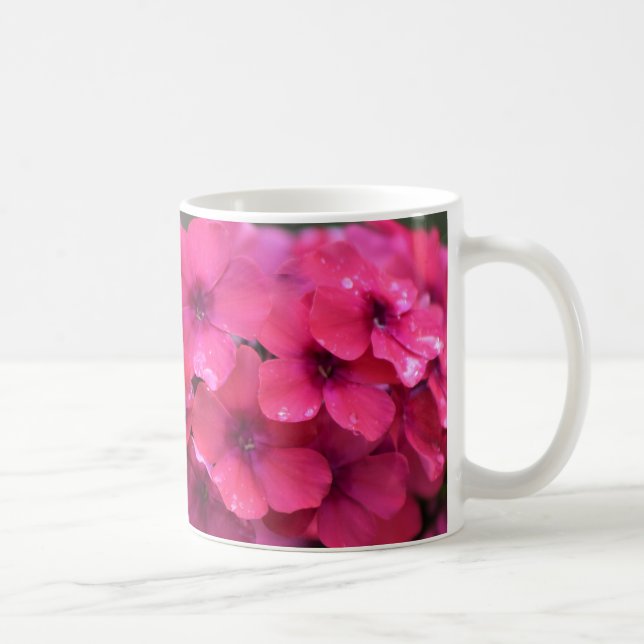 Hoher korallenroter Phlox Kaffeetasse (Rechts)