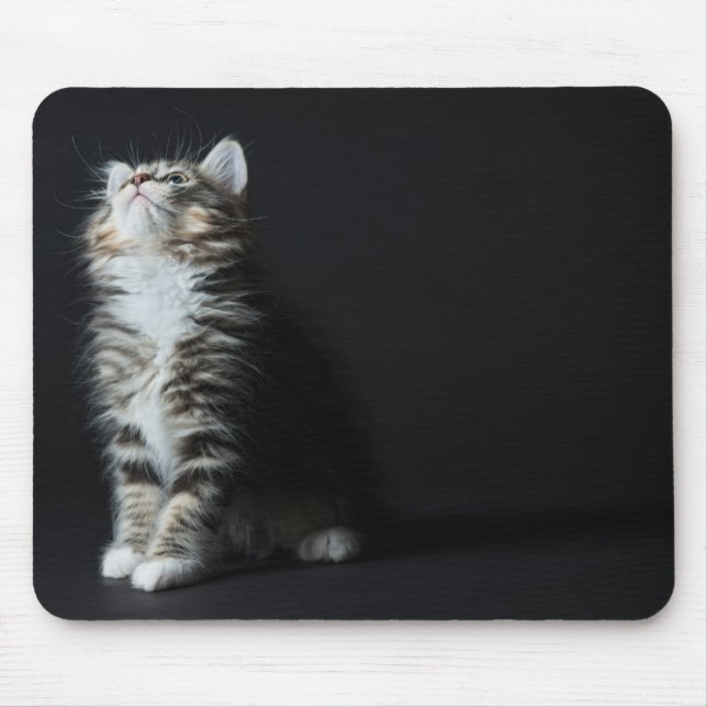 Hoher Tabby Mousepad (Vorne)