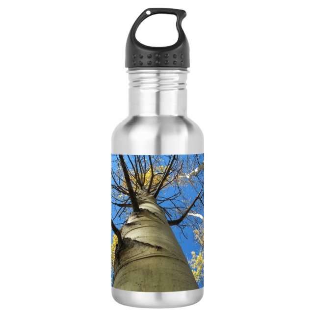 Hoher Zitterpappel-Baum Edelstahlflasche (Vorderseite)