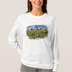 Höhere Stadtsicht und Hotel Marques de Riscal T-Shirt