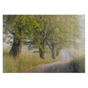 Höhlendecke  Große Smokey Mountains, TN Schneidebrett