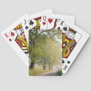 Höhlendecke Große Smokey Mountains, TN Spielkarten