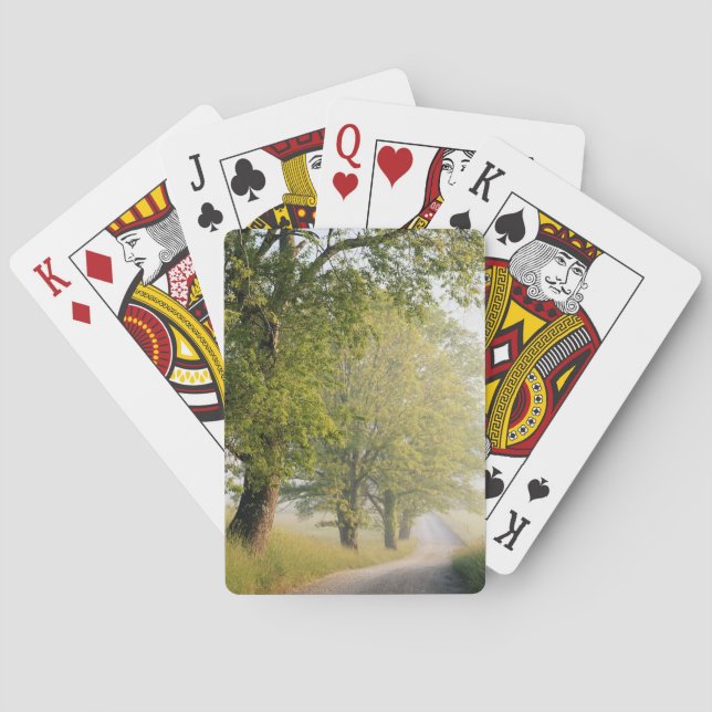 Höhlendecke| Große Smokey Mountains, TN Spielkarten (Rückseite)