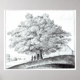 Hohler Baum bei Hampstead, 1663 Poster