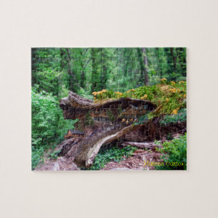 Hohler Klotz mit Haus-Puzzlespiel Puzzle