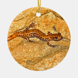 HöhleSalamander Keramik Ornament