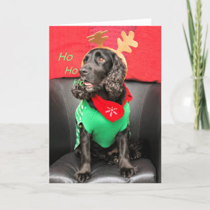 HoHo Niedlicher Hund Feiertagskarte