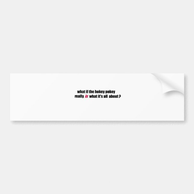 Hokey Pokey Autoaufkleber (Vorne)