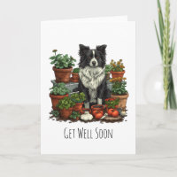 Hol dich bald an der Grenze zum Collie Garening