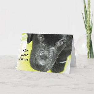 Hol dich bald auf der Puppy-Grußkarte Karte