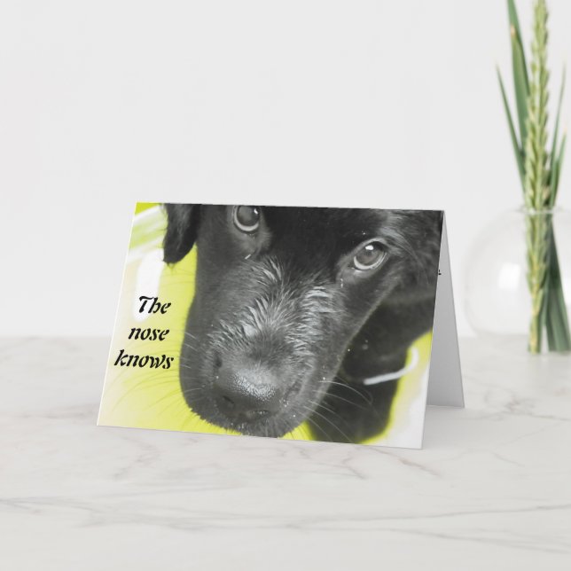 Hol dich bald auf der Welpengrüßkarte Karte (Vorderseite)