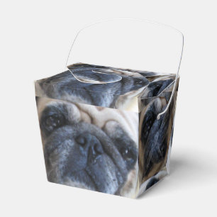 Hol dir bald einen tollen Mops-Hund Geschenkschachtel